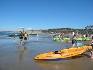 La Jolla Shores is a popular place to kayak with Leopard Sharks in July & August
