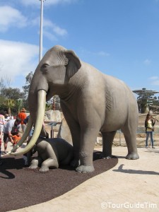 Wooly Mammoth replica at the San Diego Zoo