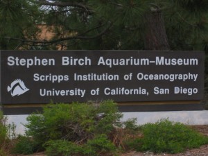 birch-aquarium-sign