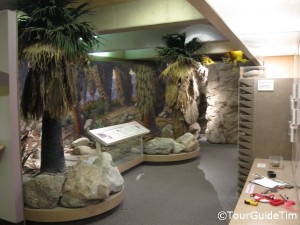 Visitor Center Exhibit