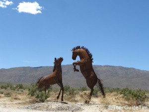 Horses in Galleta Meadows