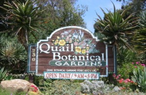 quail-botanical-gardens