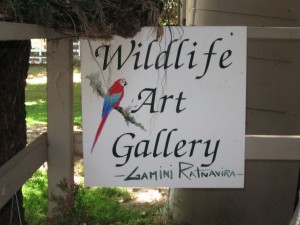 wildlife-art