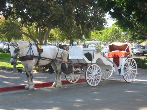 carriage-tour